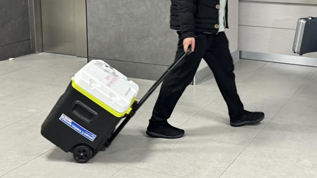 Yeni süni intellekt vasitəsi orqan nəqli səylərini 60 faiz azalda bilər