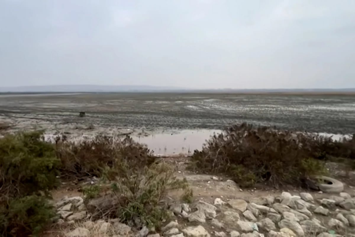 Azərbaycanın ən böyük göllərindən biri quruyur: Ekoloqlar həyəcan təbili çalır (VİDEO)