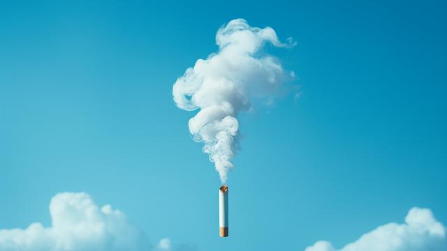 Tütün hər il 7 milyon insanın ölümünə səbəb olur