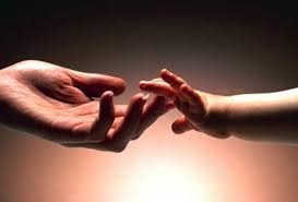 Bu il qəyyumluğa verilən uşaqların sayı AÇIQLANDI