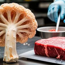 Əti əvəz edəcək göbələk yaradıldı