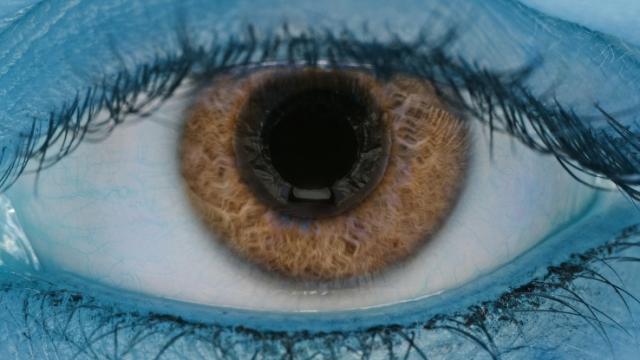 Yeni kök hüceyrə transplantasiyası görmə itkisini bərpa edir