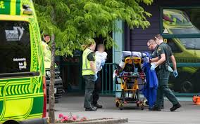 Yeni Zelandiyada bədbəxt hadisə: Uşaqlar bağçada kimyəvi yanıqlar alıblar