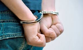 Beynəlxalq axtarışda olan şəxs Almaniyadan Azərbaycana ekstradisiya edilib