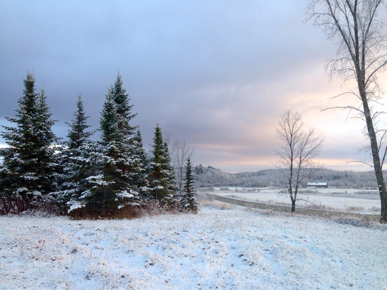 Bu ərazilərə qar yağacaq - Sabahın havası