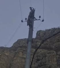 Kəlbəcərdə dağkeçilərinin tələf olmasının səbəbi bilindi