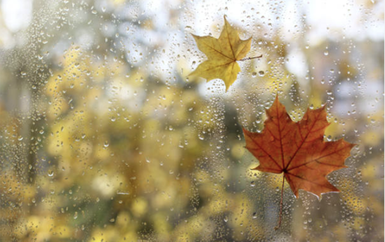 Bu ərazilərə yağış yağıb