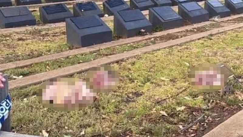 Avstraliyanın Sidney şəhərində müsəlman qəbiristanlığına donuz başları atılıb