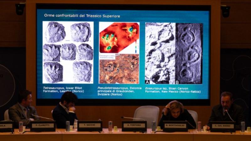 İtaliyada 200 milyon il yaşı olduğu güman edilən minlərlə dinozavr ayaq izi aşkar edilib