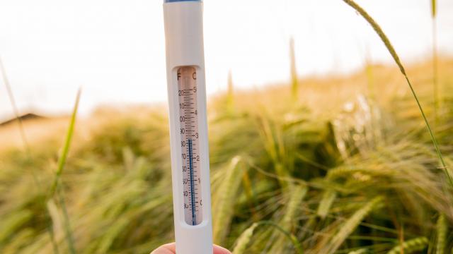 Qlobal temperatur 2025-ci ildə rekord həddə çatdı