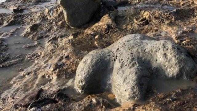 2025-ci ildə dünyada arxeoloji kəşflər bəşər tarixinə və irsinə işıq salır