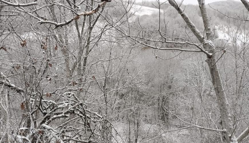 Bu ölkənin keçmiş baş naziri 15 il azadlıqdan məhrum edild edildi