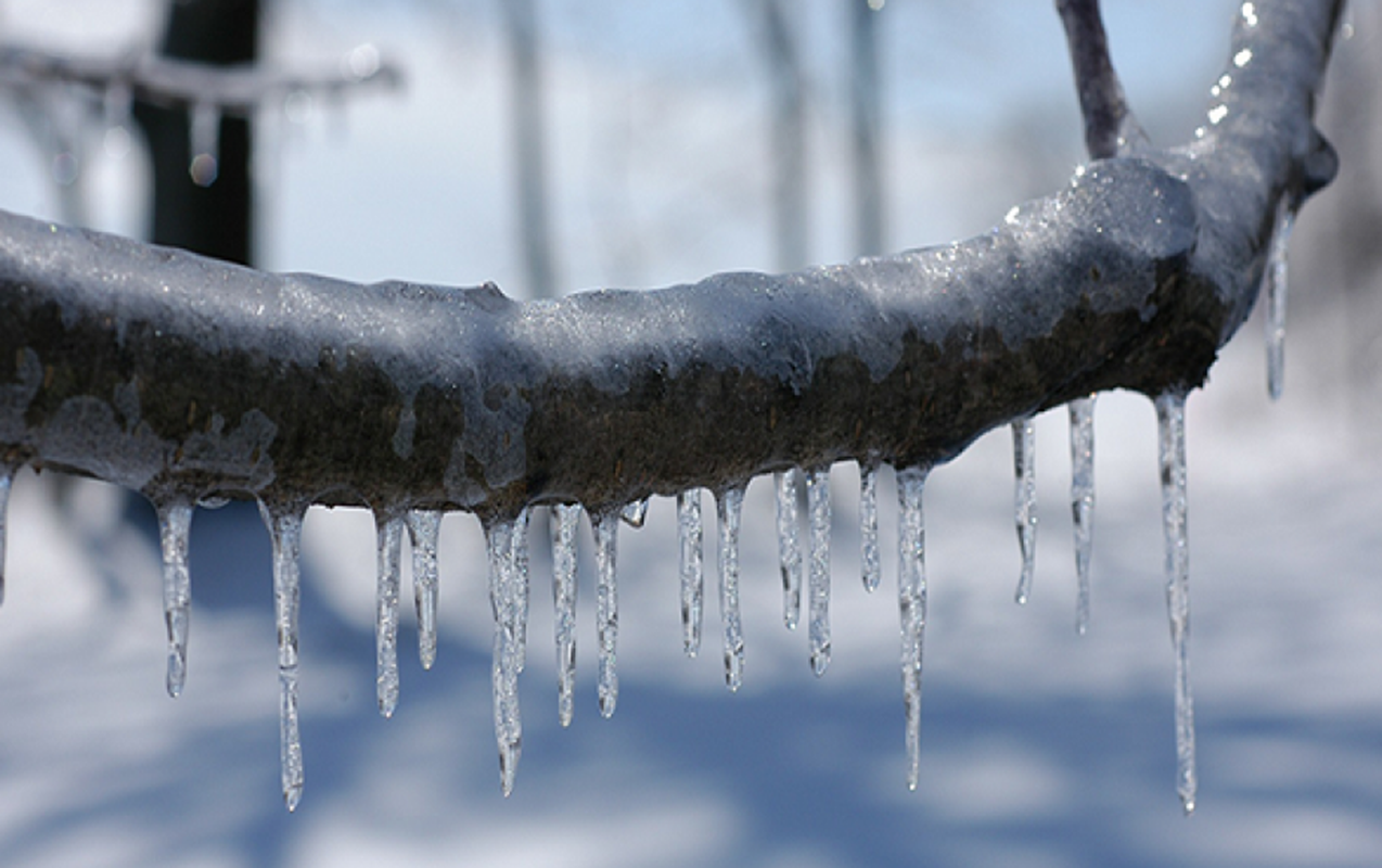Sabah 10 dərəcə şaxta olacaq, yollar buz bağlayacaq