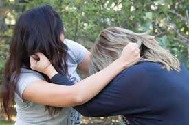 Şirvanda qadınlar arasında torpaq mübahisəsi dava ilə nəticələndi