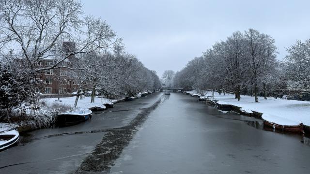 Hollandiyada 1050 uçuş ləğv edildi