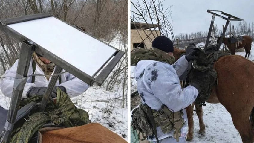 Rusiya ordusu internetə daxil olmaq üçün atlardan istifadə etməyə başlayıb
