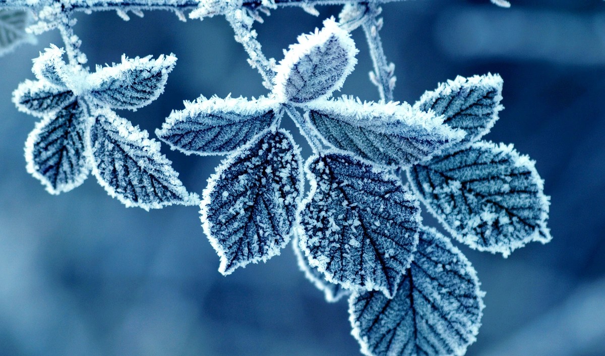 Xınalıq, Qrız, Qusar, Şahdağda qar yağır - FAKTİKİ HAVA