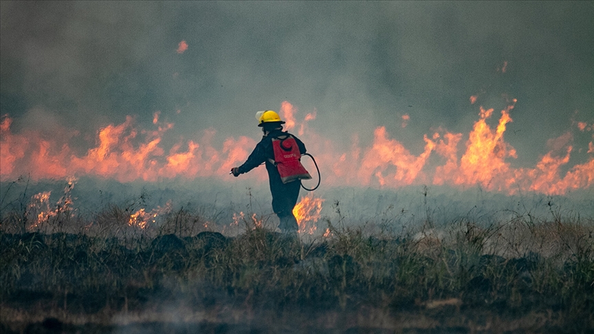 Argentinanın Pataqoniya bölgəsində meşə yanğınları baş verib