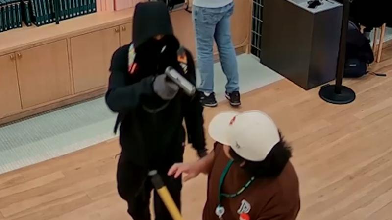 Pokemon mağazasından 100.000 dollarlıq kolleksiya oğurlanıb