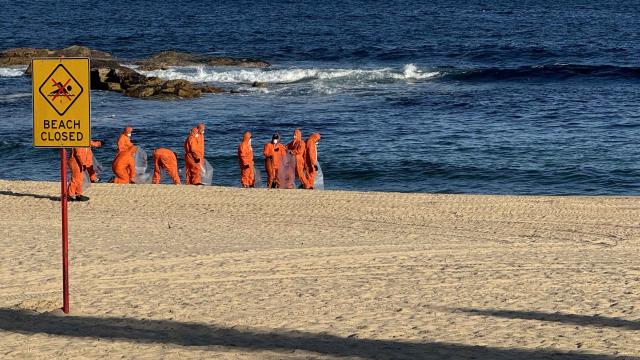 Avstraliyanın Sidney şəhərində köpək balıqları iki uşağa hücum edib