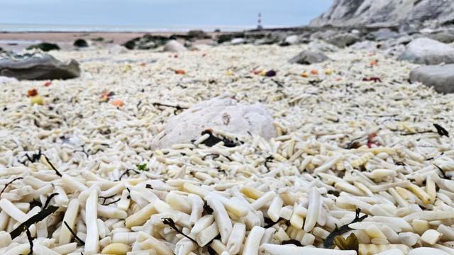 Çimərlik minlərlə kartof və soğanla doldu