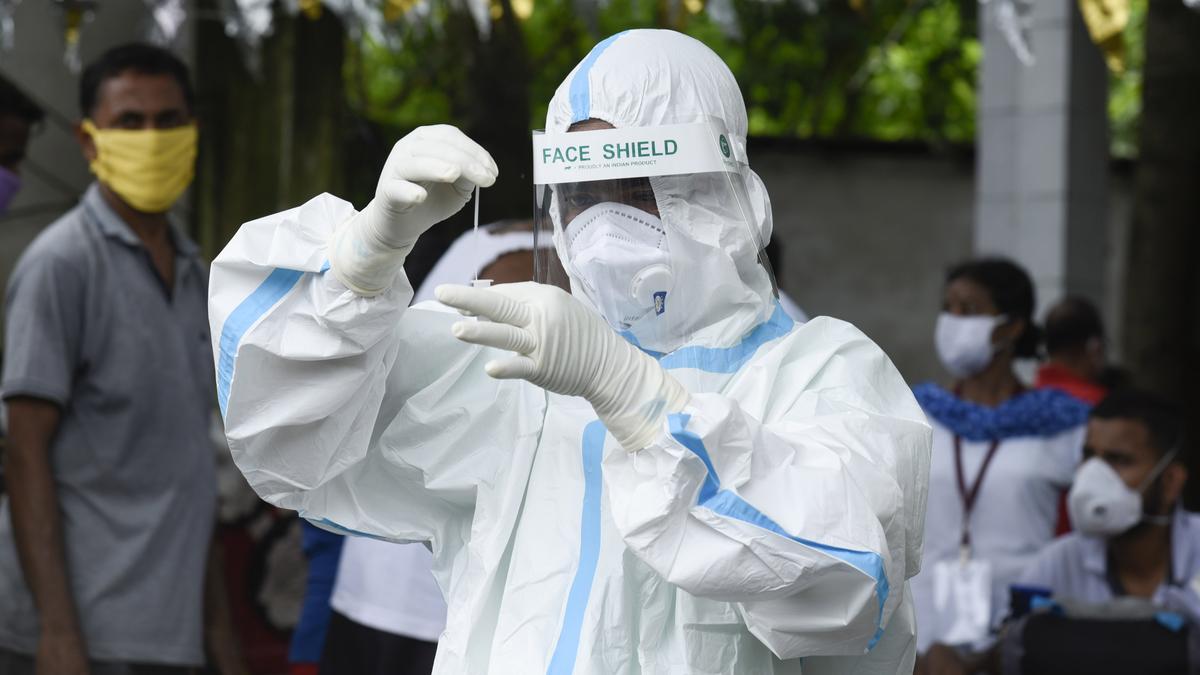 Azərbaycanda Nipah virusuna yoluxma halları var? - RƏSMİ AÇIQLAMA