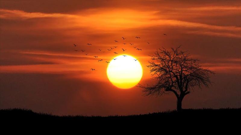 Avstraliyada isti dalğası termometrlərin rekord səviyyəyə çatmasına səbəb olub