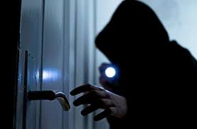 Bakıda naqil oğruları saxlanıldı