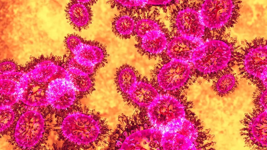 Nipah virusu yayılırmı? Asiya həyəcan vəziyyətindədir