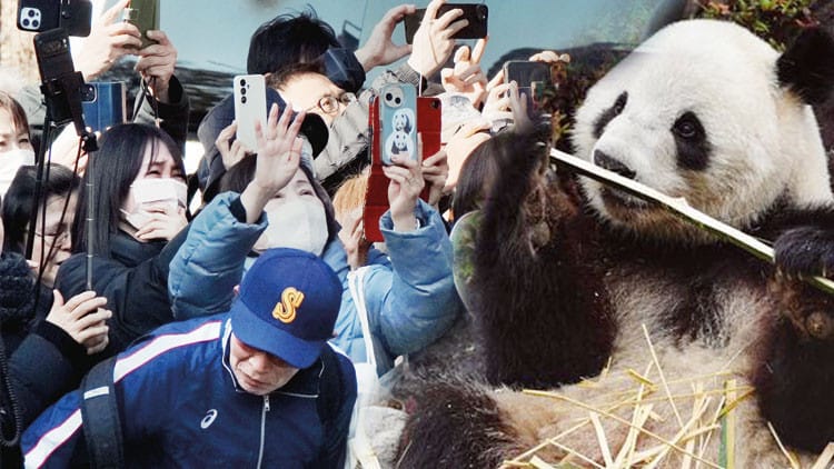 Yaponiyada panda qalmadı
