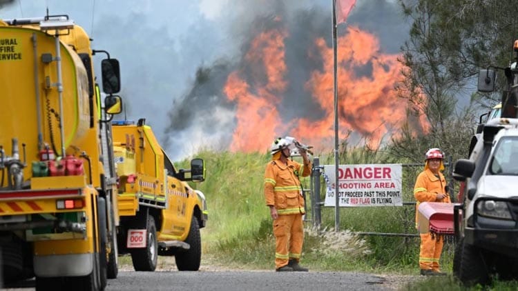 Təyyarə qəzaya uğradı, meşə yandı: 2 ölü