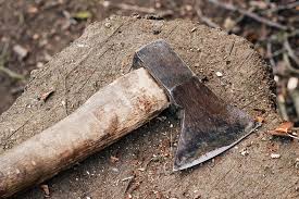 Baltalanaraq qətlə yetirildiyi iddia edilən 15 yaşlı Həqiqətin fotosu