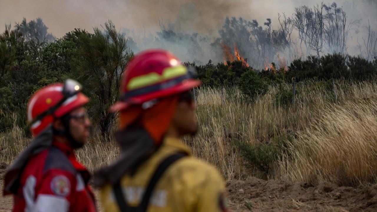 Argentinada meşə yanğınları ilə mübarizə davam edir
