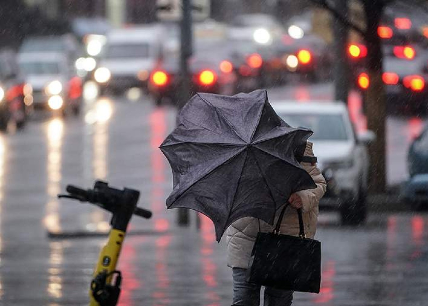 Bakıda külək güclənir, bəzi yerlərdə duman müşahidə olunur - Faktiki hava