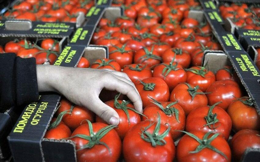 Pomidor indi yaydakından ucuzdur - SƏBƏB