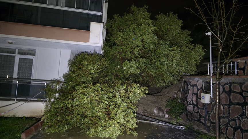 Türkiyədə güclü yağış nəticəsində istinad divarı uçub