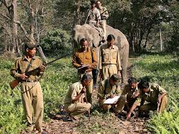 Hindistan sakini naməlum yırtıcının qurbanı oldu