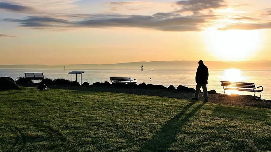 Ən tənha peşələr məlum olub: 14 saatını tək keçirirlər