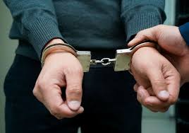 Ermənistanda beş müxalifətçi saxlanıldı