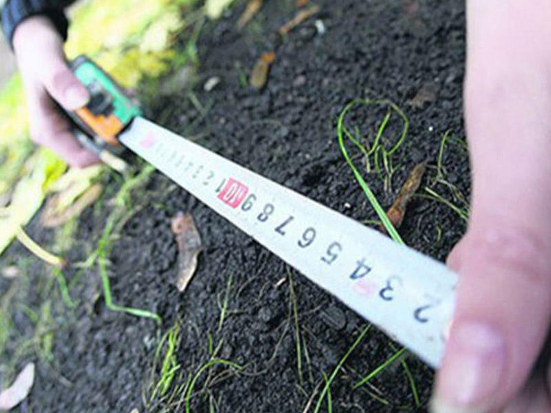 Bələdiyyələrin qanunsuz satdığı torpaqlar geri alınır - Nazirlik məhkəmələrə müraciət edib