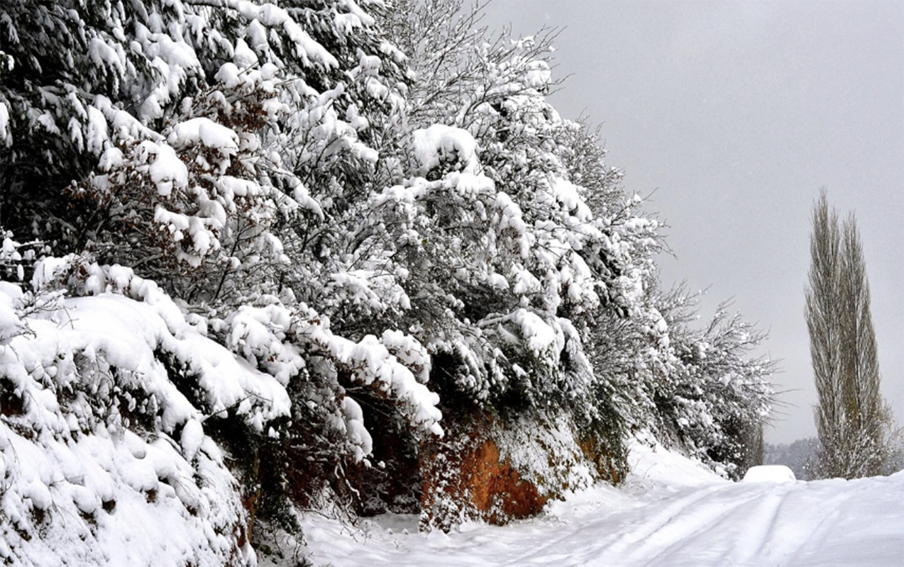 Daşkəsən və Şahdağa qar yağır