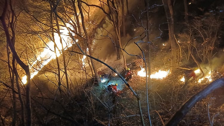 Cənubi Koreyada meşə yanğınları nəzarətdən çıxdı: 3 gündə 190 hektar ərazi kül oldu