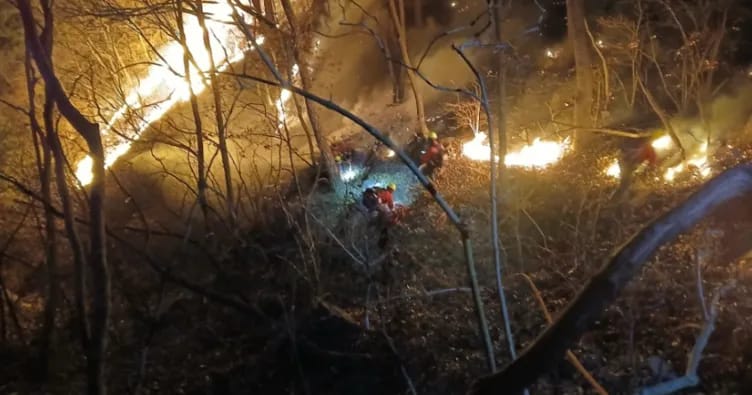 Cənubi Koreyada 200 futbol meydançası böyüklüyündə ərazi külə döndü