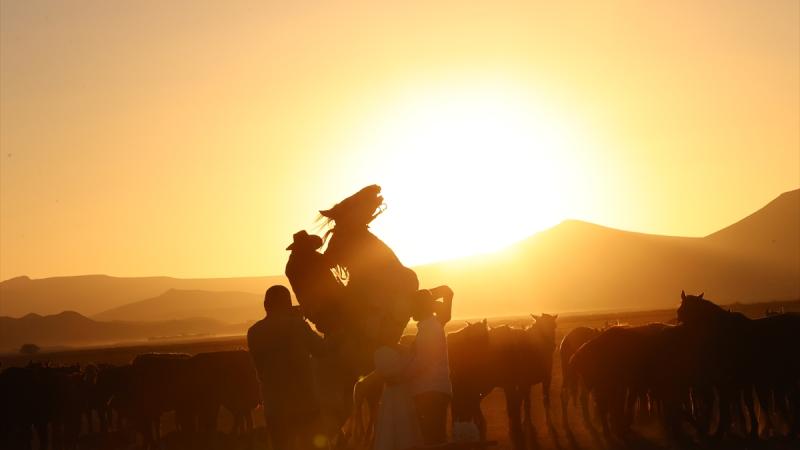 Atlar eyni vaxtda kişnəyir və fit çalır