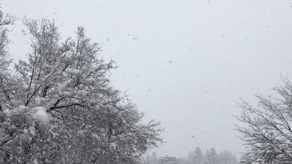 Martın ilk gününün havası