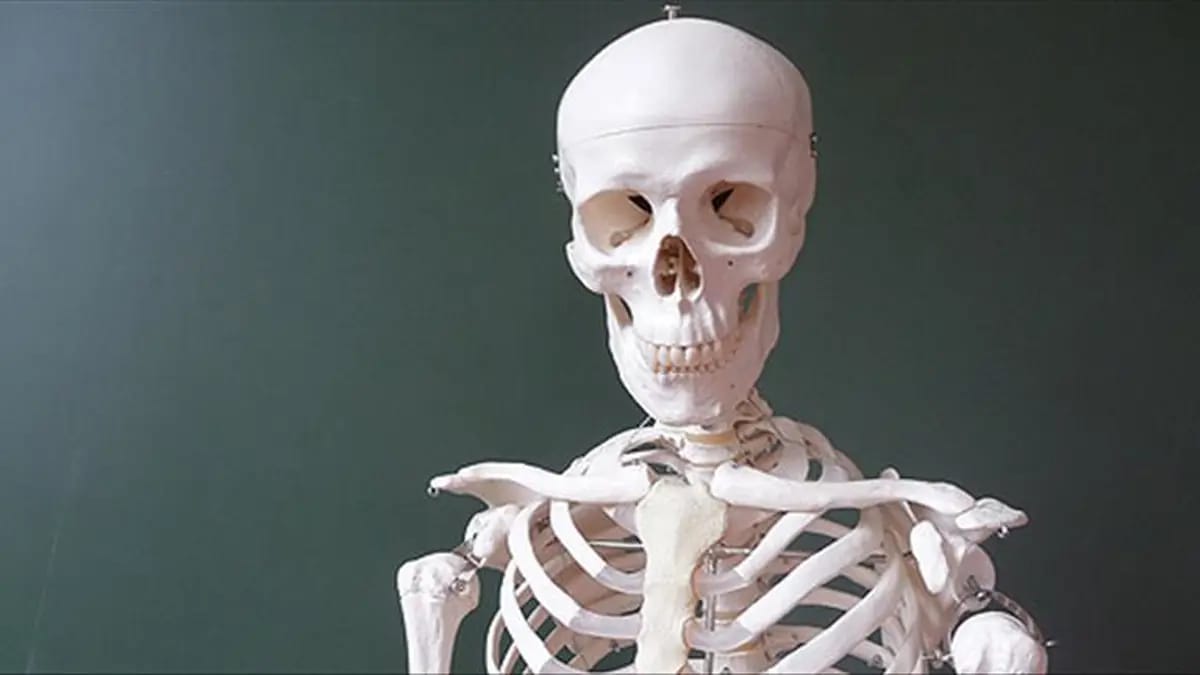 Atmosferdə karbon qazının artması skelet sistemini zəiflədir