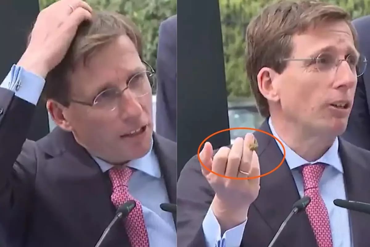 Madrid merinin çıxışı göyərçin müdaxiləsilə kəsildi