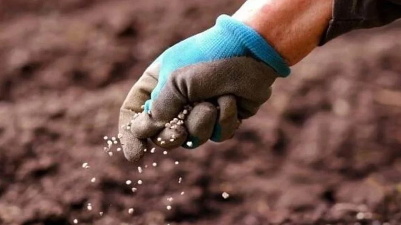 Rusiya gübrələrlə bağlı ixrac qadağasını uzatdı