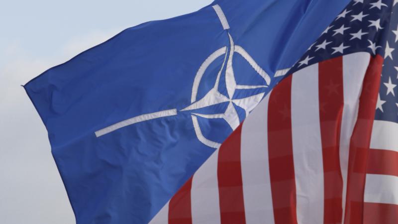 Polşa: ABŞ olmadan NATO yoxdur, lakin müttəfiqləri olmadan güclü ABŞ yoxdur