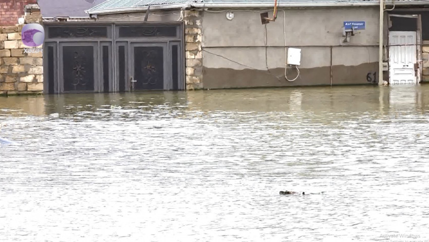 Masazırda qəbiristanlığı və həyətləri su basdı - VİDEO